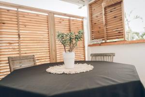 une table avec un vase avec une plante sur elle dans l'établissement Ti salé 1, à Étang-Salé les Bains