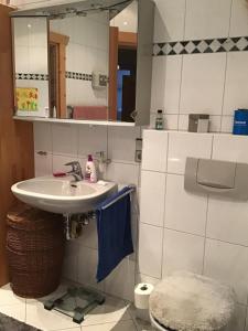 a bathroom with a sink and a mirror and a toilet at gemütliches Zimmer in Winningen mit Garten-, Küchennutzung und Arbeitsplatz in Winningen