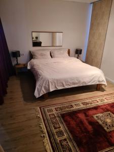 Postel nebo postele na pokoji v ubytování Vilă cazare muncitori