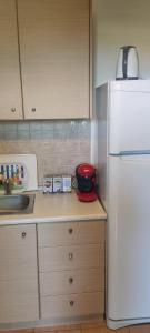 a kitchen with a white refrigerator and a sink at Dimitris Afytos Apartment in Afitos