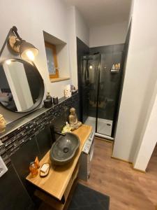 une salle de bain avec lavabo et douche dans l'établissement LITTLE COTTAGE - Kleine Wohlfühloase, à Obernzell