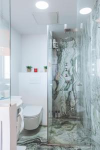 a bathroom with a shower with a toilet and a sink at Apartamento Plaza España Calle Princesa in Madrid
