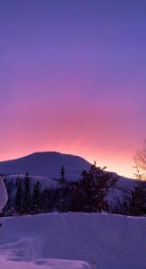 einen Sonnenuntergang über einem Berg mit Schnee und Bäumen in der Unterkunft Gaustablikk Sportshytte in Rjukan