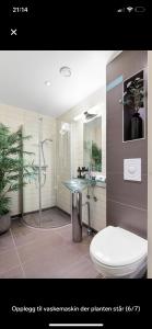 W łazience znajduje się prysznic, toaleta i umywalka. w obiekcie Central and modern apartment in Oslo w Oslo