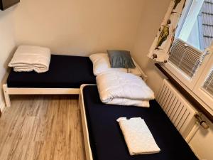 two bunk beds in a room with a window at Froilein Sophie - Wlan, Küche, TV in Malterdingen