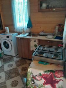 Il comprend une cuisine équipée d'une cuisinière et d'un lave-linge. dans l'établissement Riveside, à Martvili