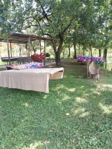 Giardino di Riverside