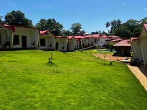 a row of houses with green grass in front at Maior Roma by Jolly Jolly Lester in Vagator