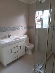 a bathroom with a toilet and a sink and a shower at Rose-Lee Cottage in Durban
