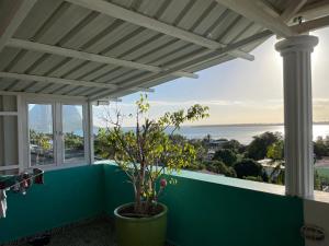 Příroda nedaleko apartmánu + 3 fotografie