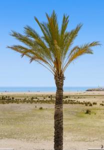 Fotografie z fotogalerie ubytování 1ª LÍNEA DE PLAYA. Apartamento: LA CALMA v destinaci Comarruga