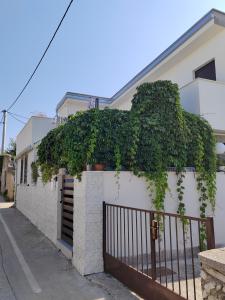 a fence covered in ivy next to a house at Apartman studio Otium in Pirovac