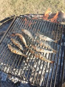a bunch of fish cooking on a grill at MASIA CAN SUNYER AGROTURISMO in La Garriga