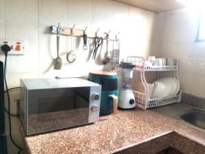 a kitchen with a counter with a microwave and utensils at Inviting 1-Bed Cozy Apartment in Mombasa in Mombasa