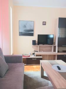 sala de estar con sofá y TV de pantalla plana en Comfort Apartment en Novi Beograd