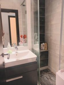 y baño con lavabo y ducha. en Comfort Apartment en Novi Beograd