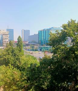 vistas a una ciudad con árboles y edificios en Comfort Apartment en Novi Beograd