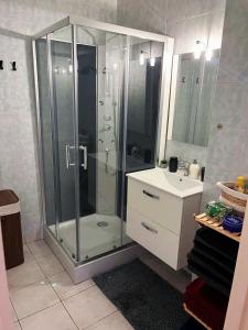 a bathroom with a glass shower and a sink at À 5 min de Paris , appartement calme,au pied du métro et très bien équipé in Maisons-Alfort