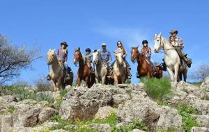 入住Kibbutz Ortal Tourism的客人