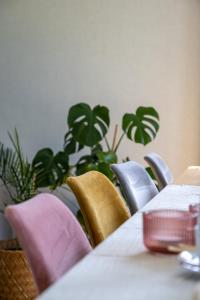 una sala conferenze con tavolo, sedie e piante di De Sjieper a Lanaken