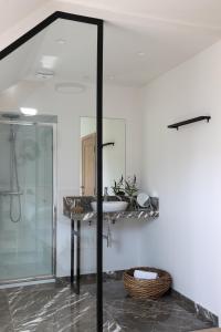 bagno con doccia in vetro e lavandino di De Sjieper a Lanaken