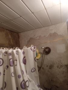 a bathroom with a shower curtain in a room at hostel Mrganush in Meghri