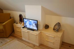 TV a/nebo společenská místnost v ubytování Szapary 1620
