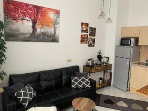 a living room with a black couch and a refrigerator at Fewo-Liza in Wernigerode