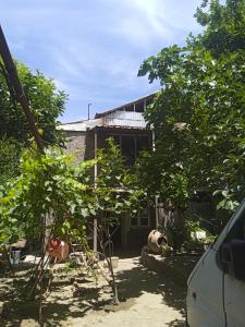 dom z drzewami przed nim w obiekcie hostel Mrganush w mieście Meghri