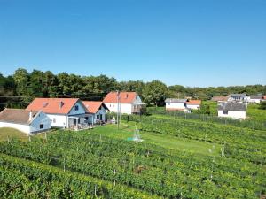 a small village with a field of vines at Szapary 1620 in Woppendorf
