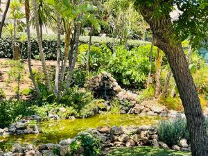 Luxury apartment Benalmadena First line外面的花园