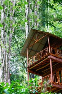 a tree house in the middle of a forest at Ella Ecolodge in Ella