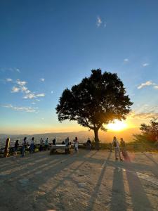 un grupo de personas sentadas en bancos bajo un árbol en 奈良公園徒歩15分古民家リノベーション貸切一軒家 Guest House奈良紀寺 en Nara