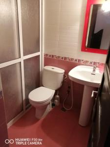 a bathroom with a toilet and a sink at Lovely house with garden in Martil