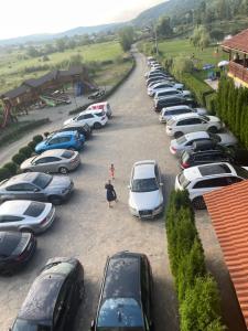 Gallery image of Pensiunea Cosău in Ocna Şugatag