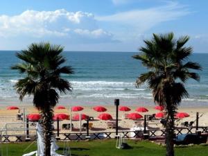 two palm trees and red umbrellas on a beach at Isramax low-cost apartment near the sea. in Bat Yam
