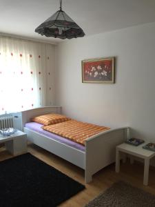 ein Schlafzimmer mit einem Bett in einem Zimmer mit einem Fenster in der Unterkunft Apartment Nürnberg City-Center in Nürnberg