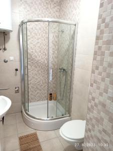 a bathroom with a shower with a toilet and a sink at Studio Apartman TIM in Doboj