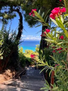Φωτογραφία από το άλμπουμ του Cute house by the sea στην Κρυοπηγή