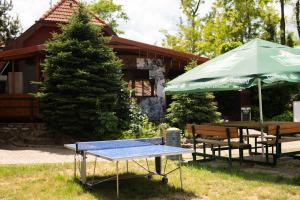 Vonkajšia záhrada v ubytovaní Penzion Nechorka