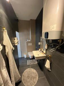 a bathroom with a sink and a toilet at Ferienhaus Dramalj in Dramalj