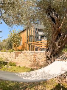 a hammock under a tree in front of a house at Mawa Cottage in Ulcinj