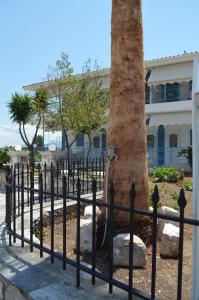 A garden outside Ammos Apartments