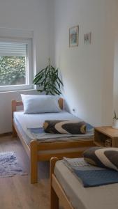 sypialnia z 2 łóżkami pojedynczymi i oknem w obiekcie Apartmani Bubamara Leskovac w mieście Leskovac
