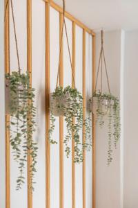 a group of potted plants hanging from a wall at Chalet Marias - Parede beach apartments in Parede