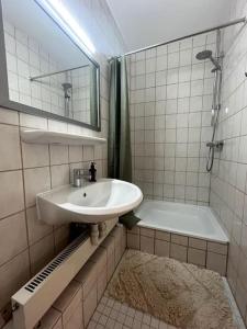 bagno con lavandino, doccia e vasca di Schöne Wohnung in Passau a Passavia