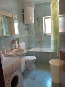 a bathroom with a toilet and a sink and a washing machine at Spajić Apartments in Seget Vranjica