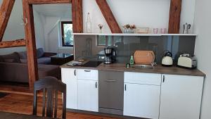 a kitchen with a sink and a counter top at Herrenhaus Harmshagen in Testorf-Steinfort