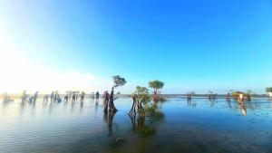 un groupe de personnes se déplaçant à travers une masse d'eau dans l'établissement Hars Garden Sumba, à Waingapu