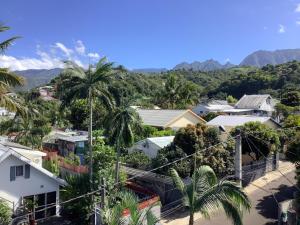 uma vista para uma cidade com montanhas ao fundo em LE JARDIN D'HILAIRE em Entre-Deux